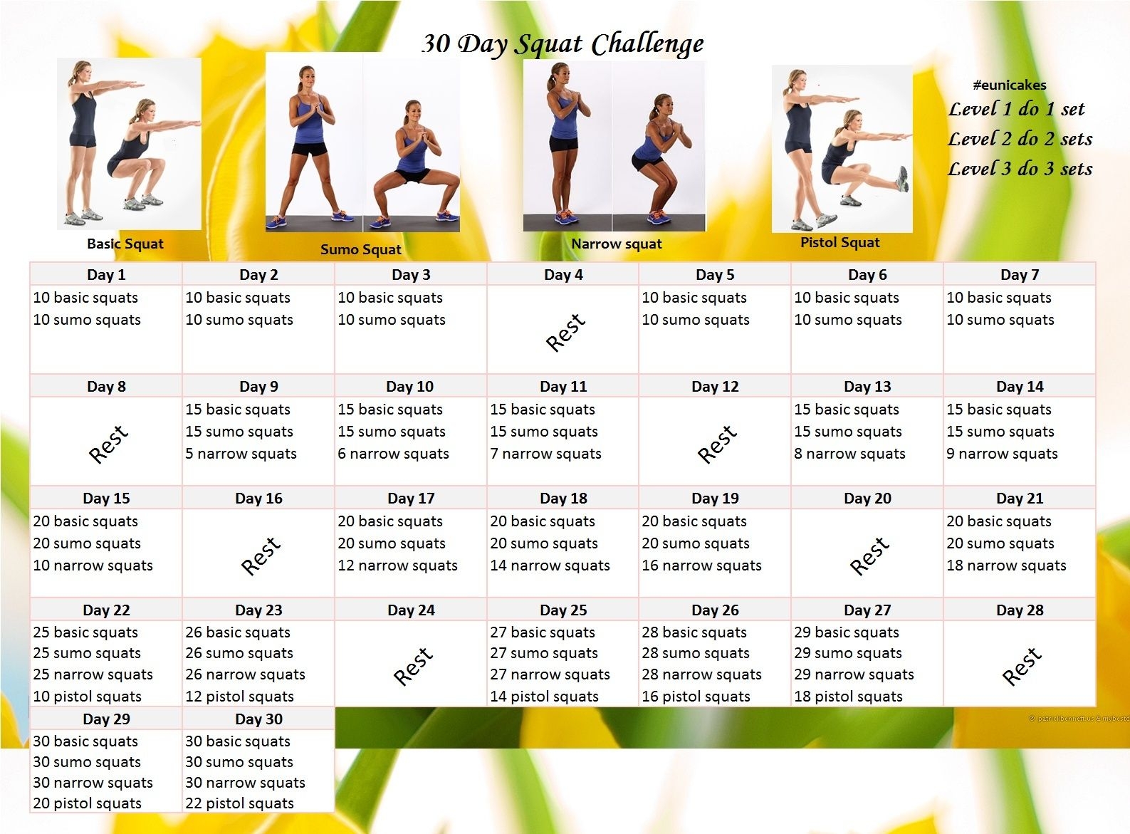 30 Day Plank Challenge | Eunicakes
