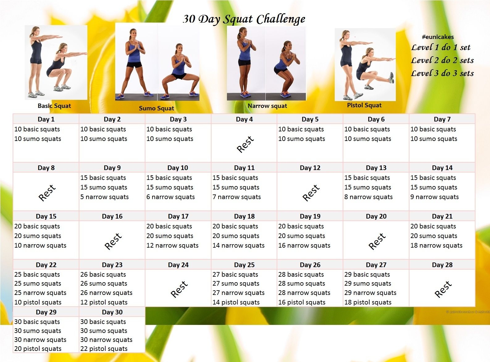 30 Day Plank Challenge Printable