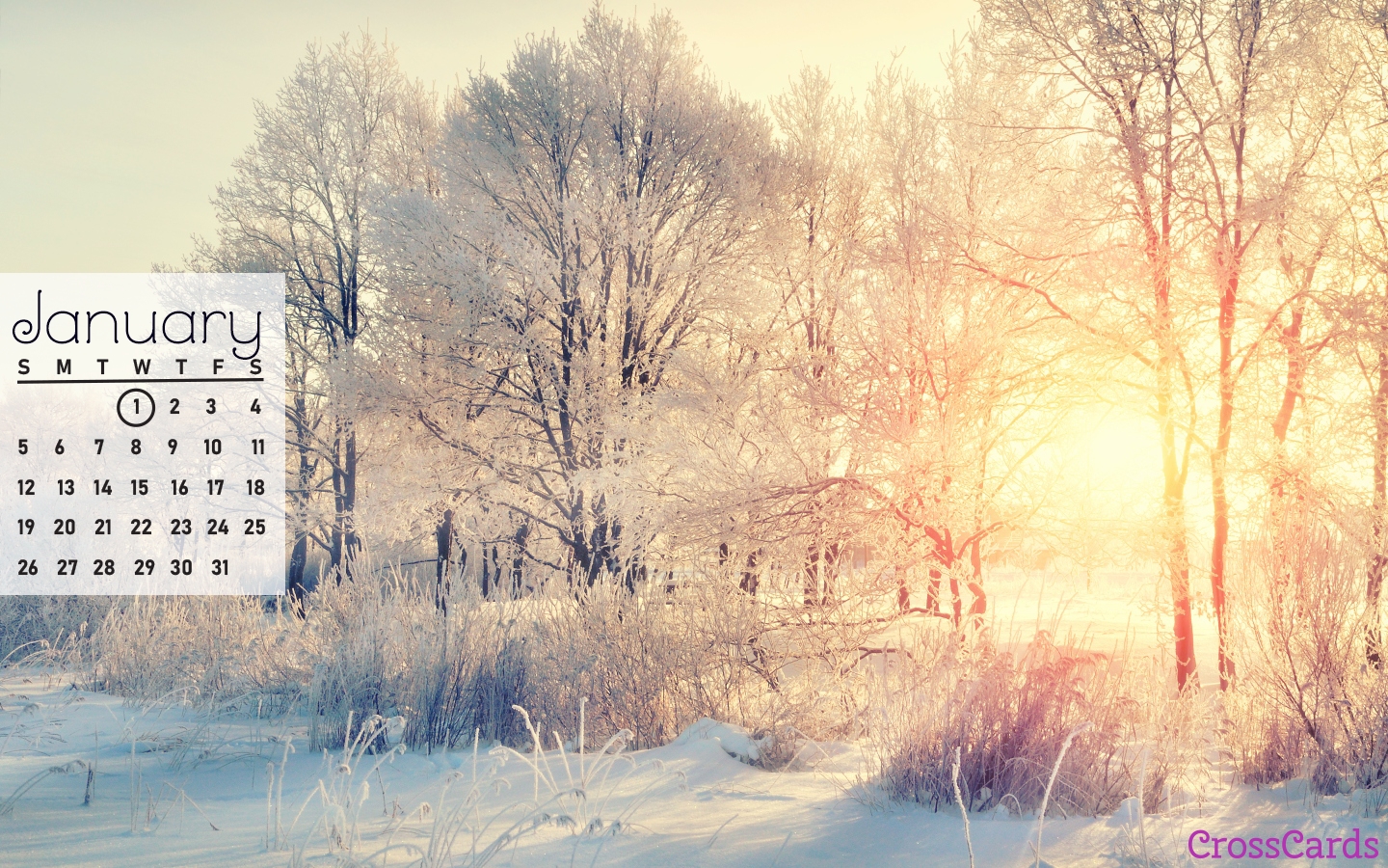2025 January Calendar Wallpaper Background Wallpaper Download