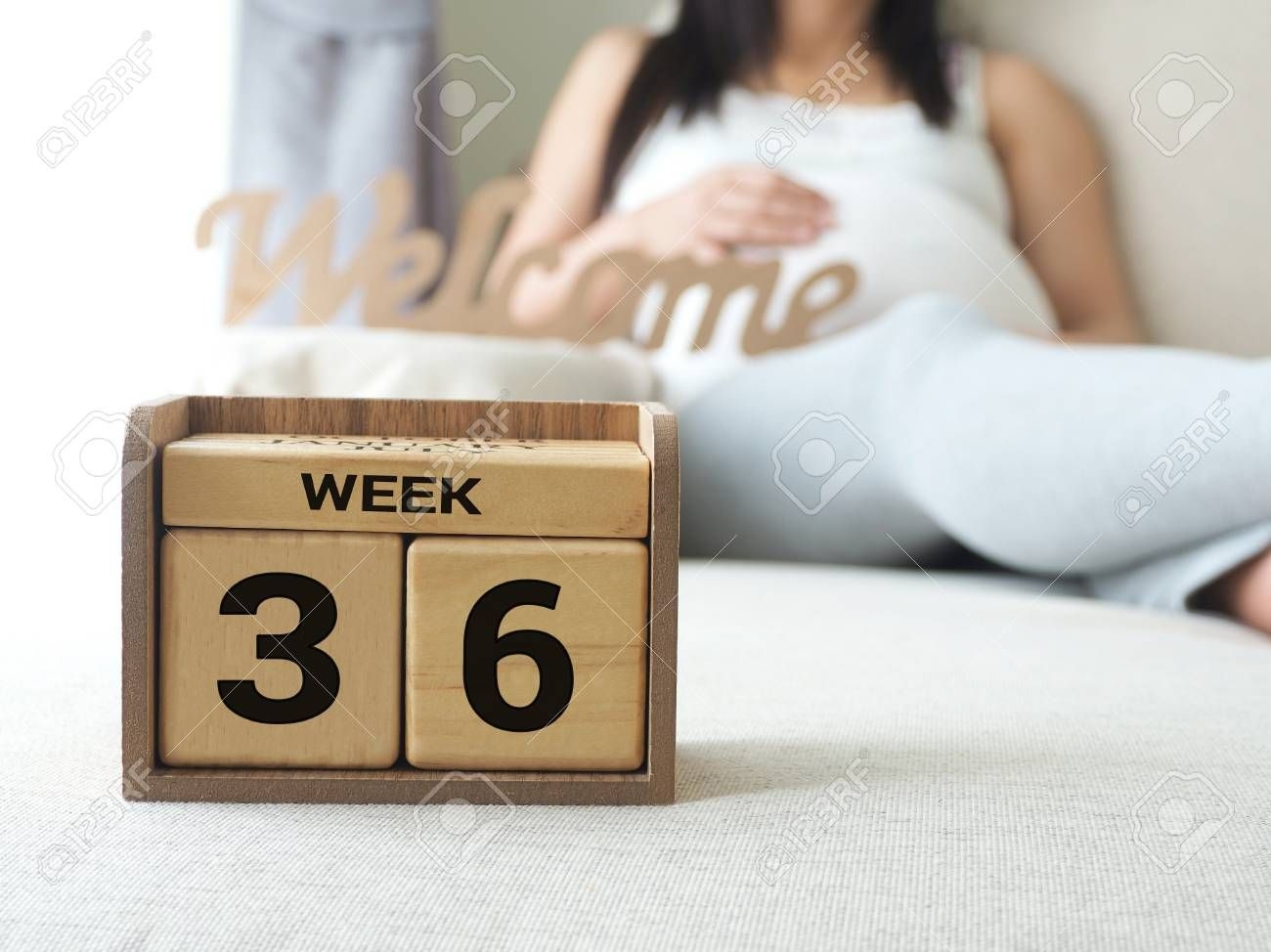 Calendar With Weeks 36 Of Pregnant With Pregnancy Woman Background