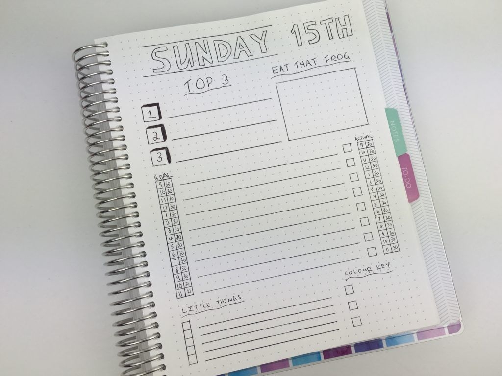 Daily Planning Bullet Journal Style (Using A Plum Paper Grid