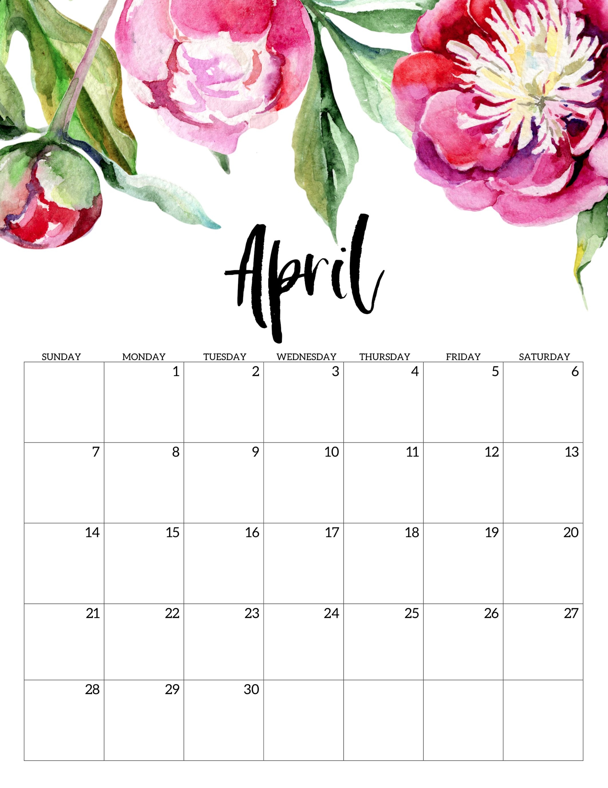 Free Printable Calendar 2019 - Floral - Paper Trail Design