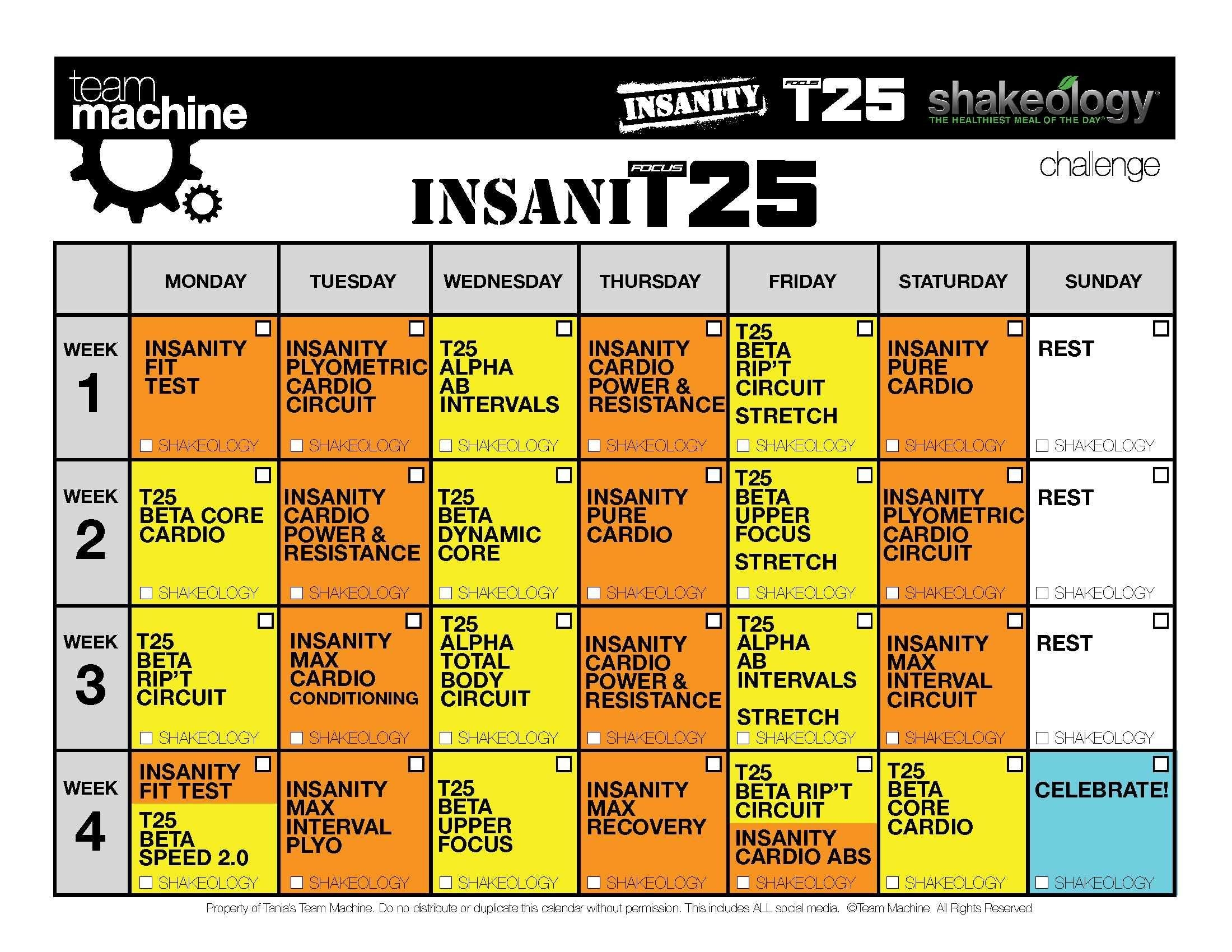 Insanity &amp; T25 Hybrid (Insanit25 Workout Review &amp; Calendar