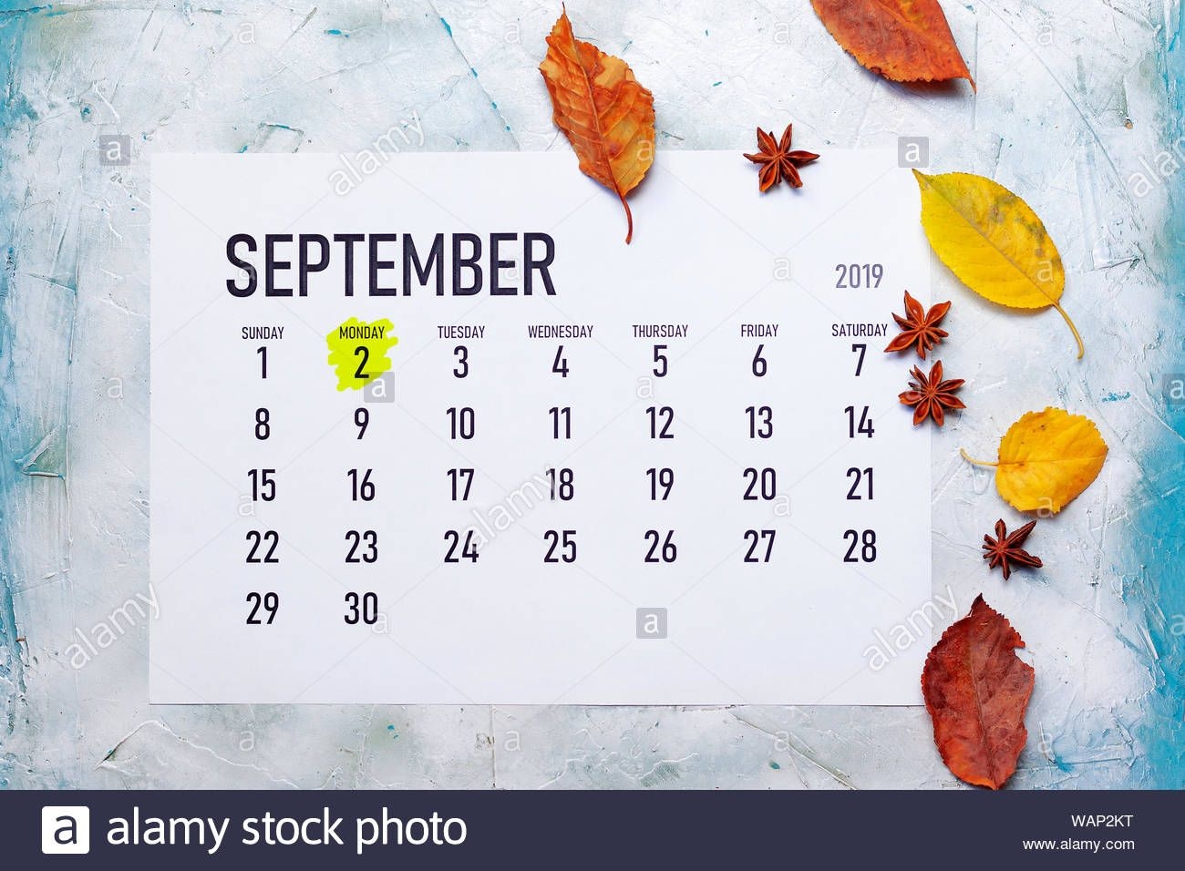 Labour Or Labor Day 2019. 2Nd September 2019 Highlighted On