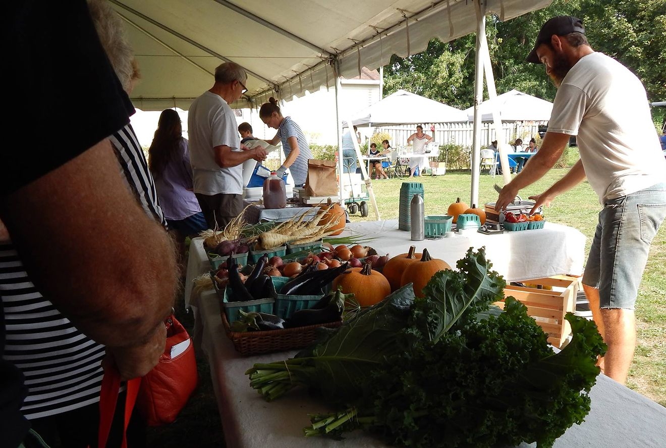 Little Italy Farmers Market Returns For Summer - Erie Reader