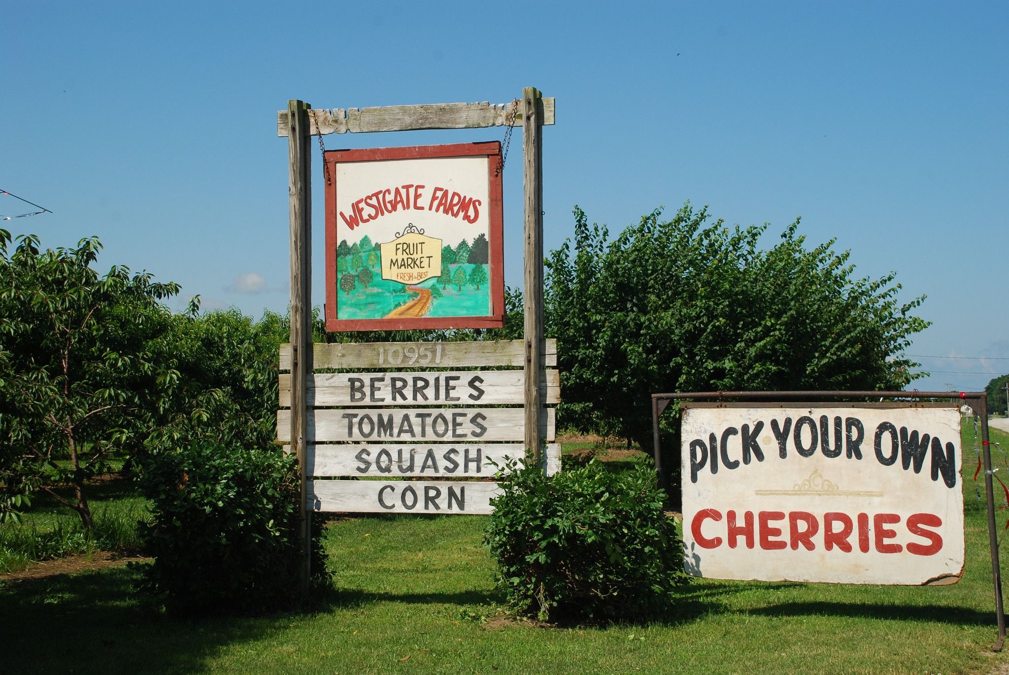 Local Goodness: Roadtrip For Ripe Cherries And Erie Beaches