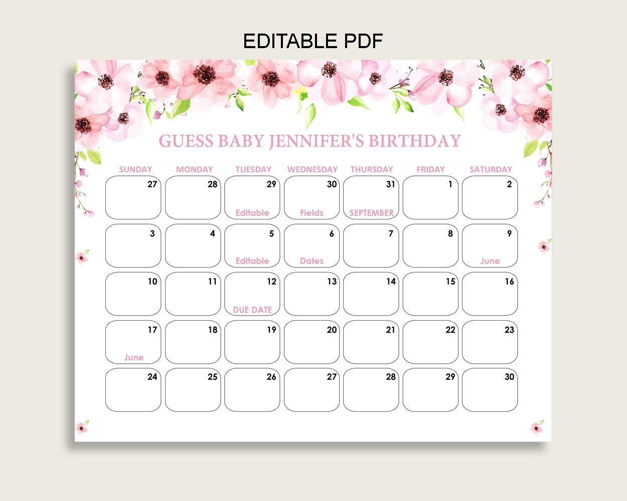 Pink Green Guess Baby Due Date Calendar Game Printable