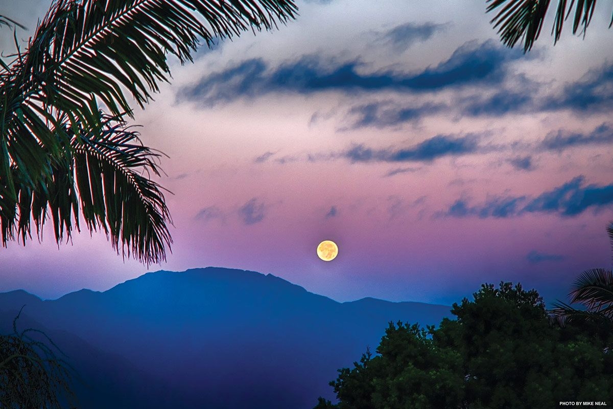 Planting By The Moon | Hawaiian Moon Calendar