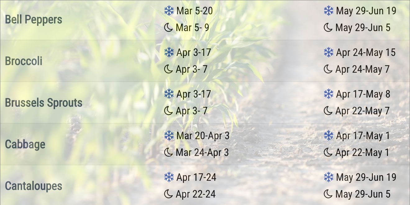 Hawaii Planting Calendar Tally Felicity