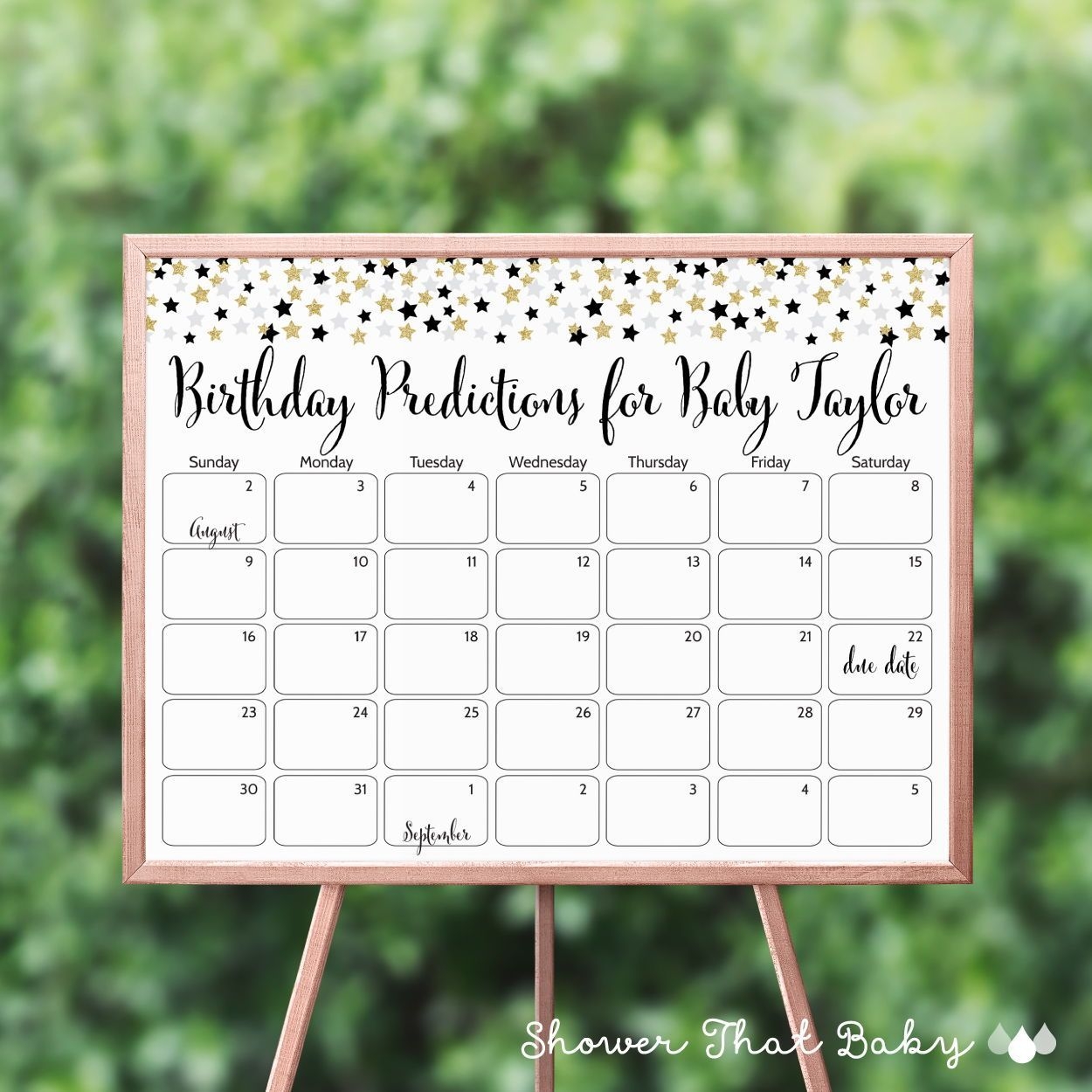 Star Baby Shower Birthday Predictions - Printable Baby