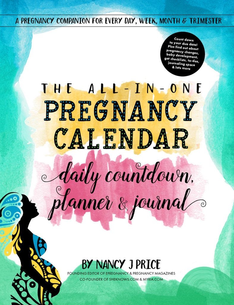 The All-In-One Pregnancy Calendar