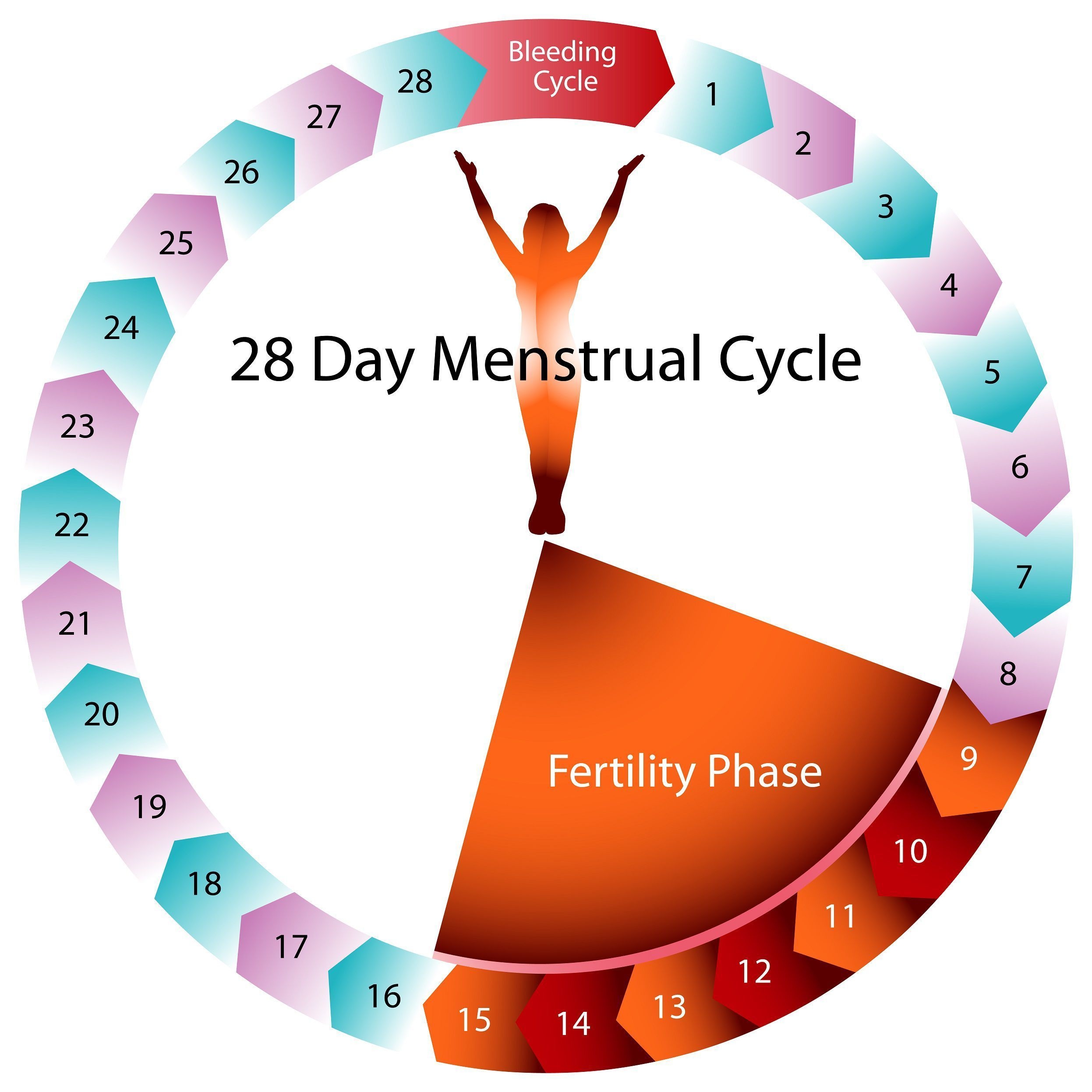 There Is More To Contraception Than The Pill | Menstrual