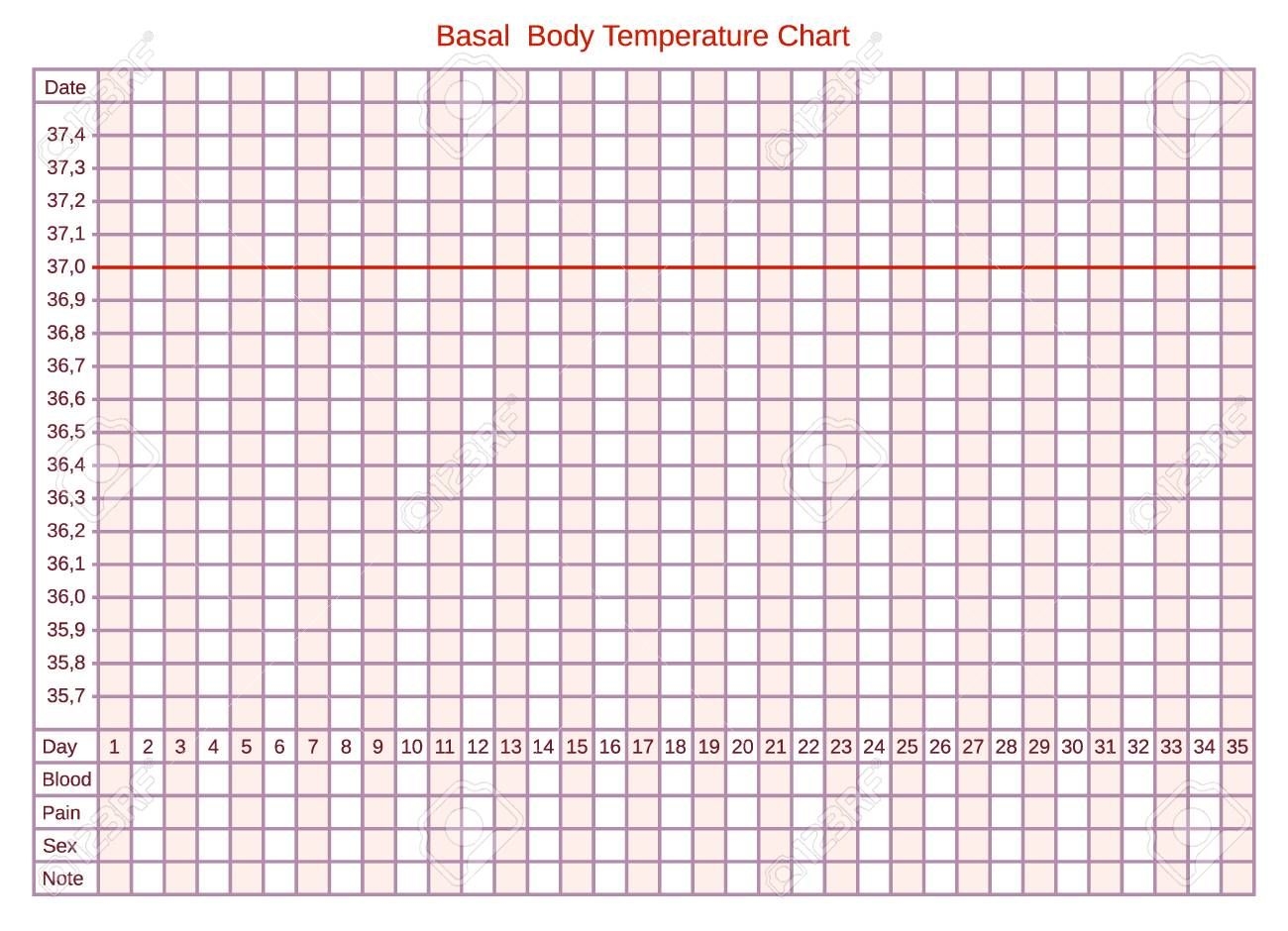 Vector Basal Chart Of Body Temperature On Celsius. Schedule For..