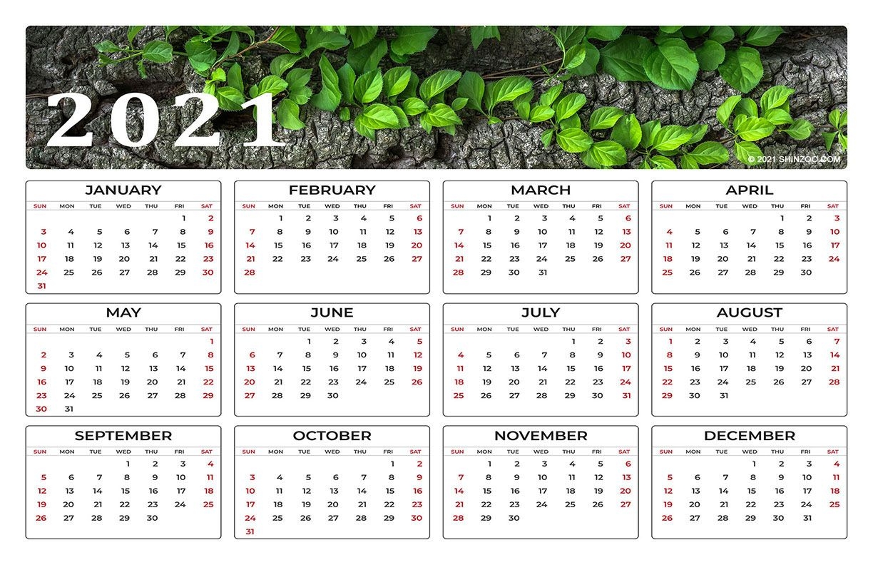 2021 Calendar 11X17 Printable Template: Tasty And Nutritious