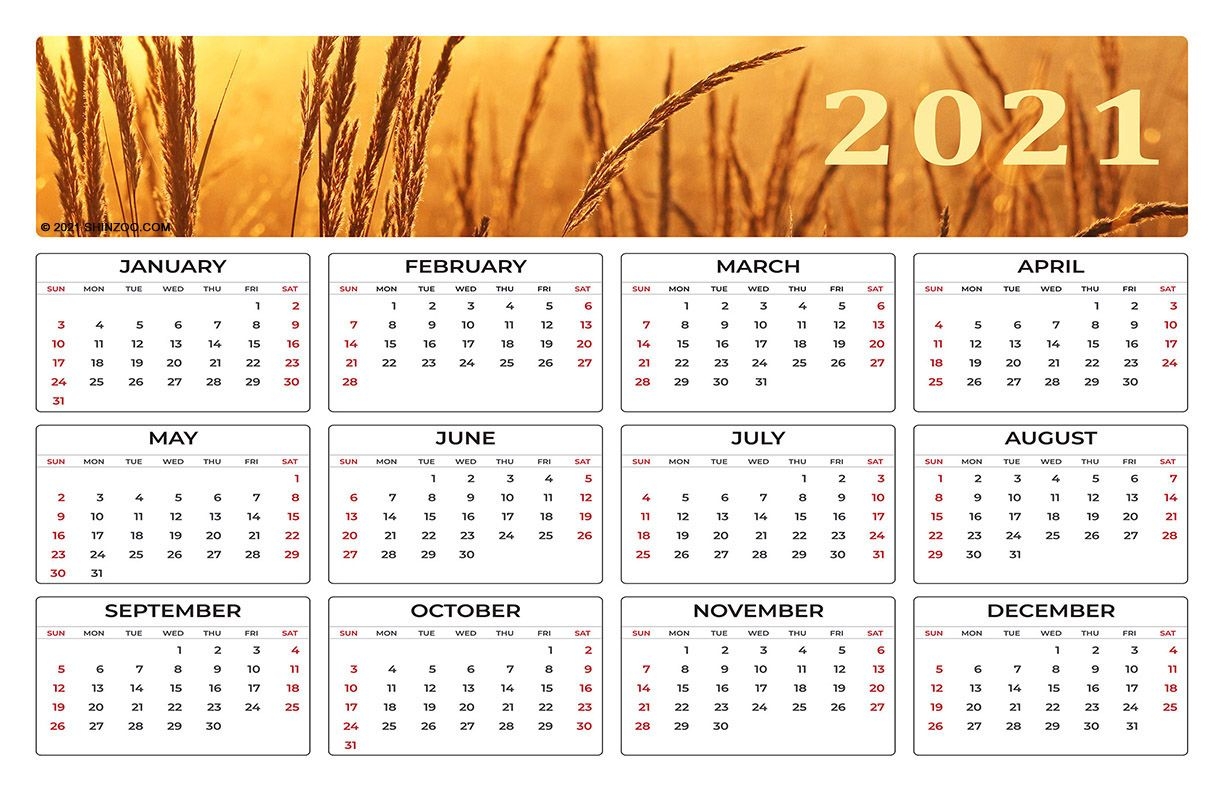 2021 Calendar Printable 11X17 Planner Template