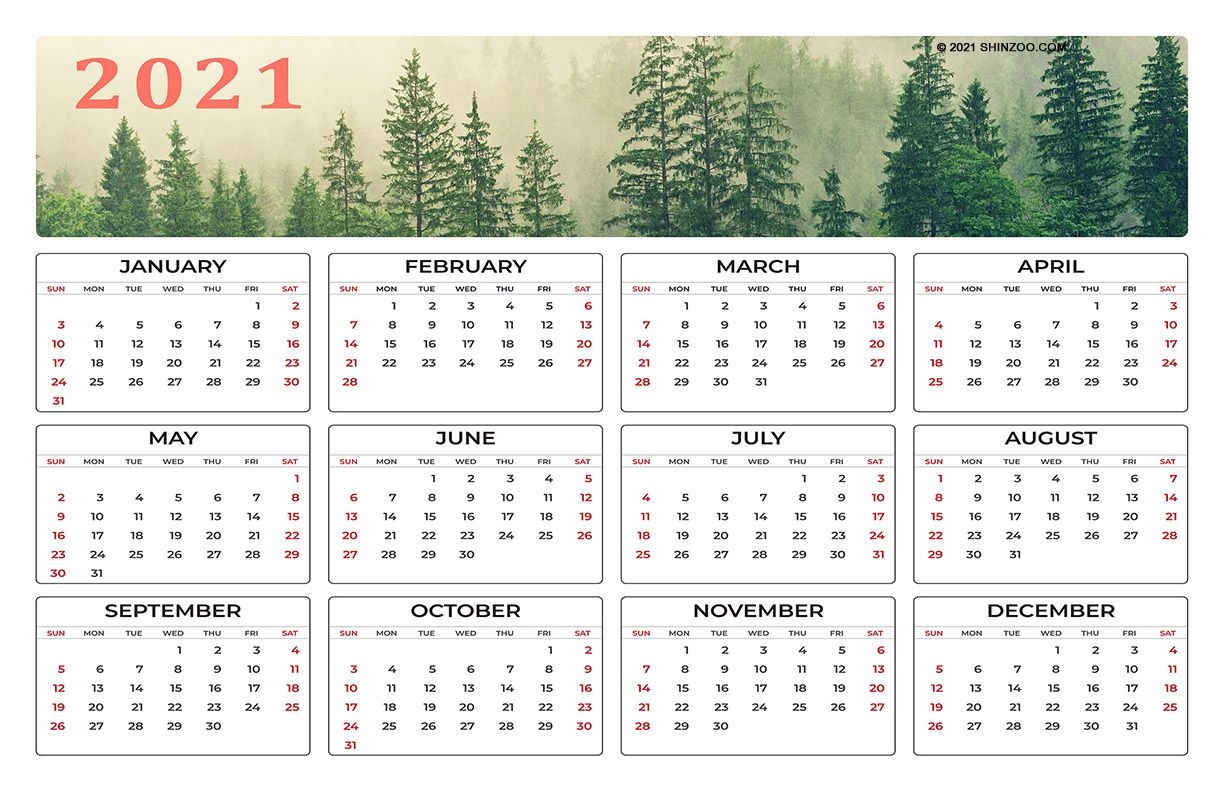 2021 Calendar Printable 11X17 Planner Template