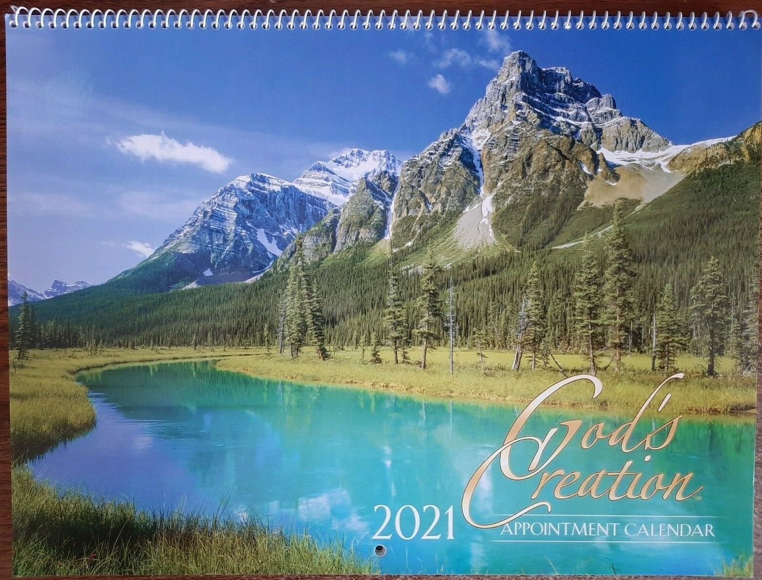 2021 God&#039;S Creation Appointment Wall Calendar 9&quot;X12&quot; Spiral-Bound,  Christian Niv