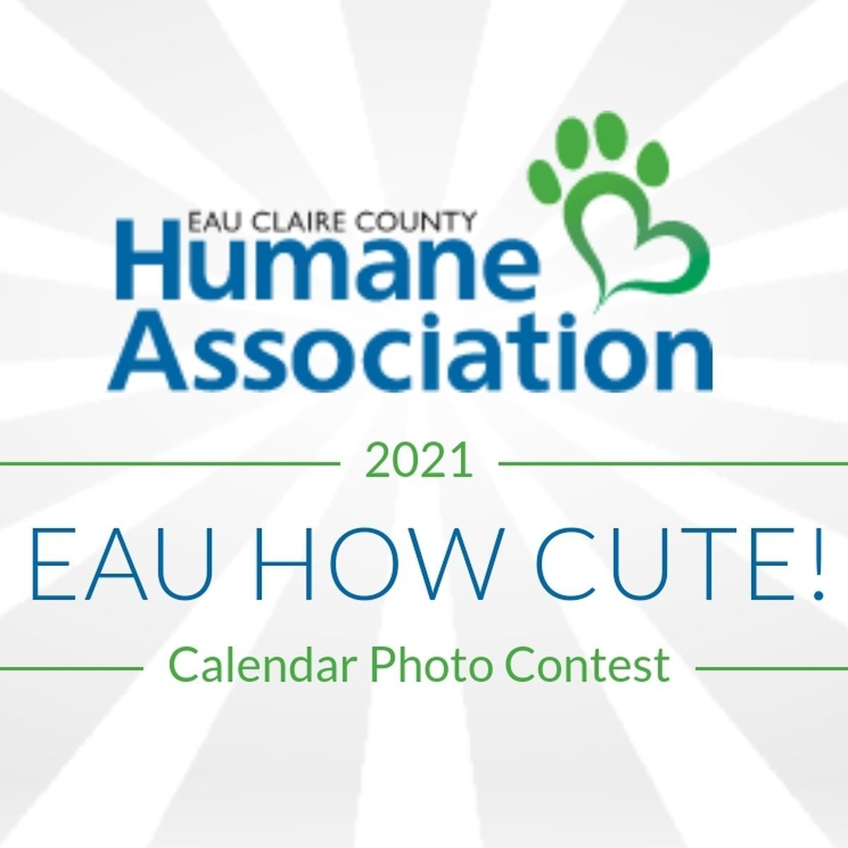 Eccha Pet Photo Contest Fundraiser