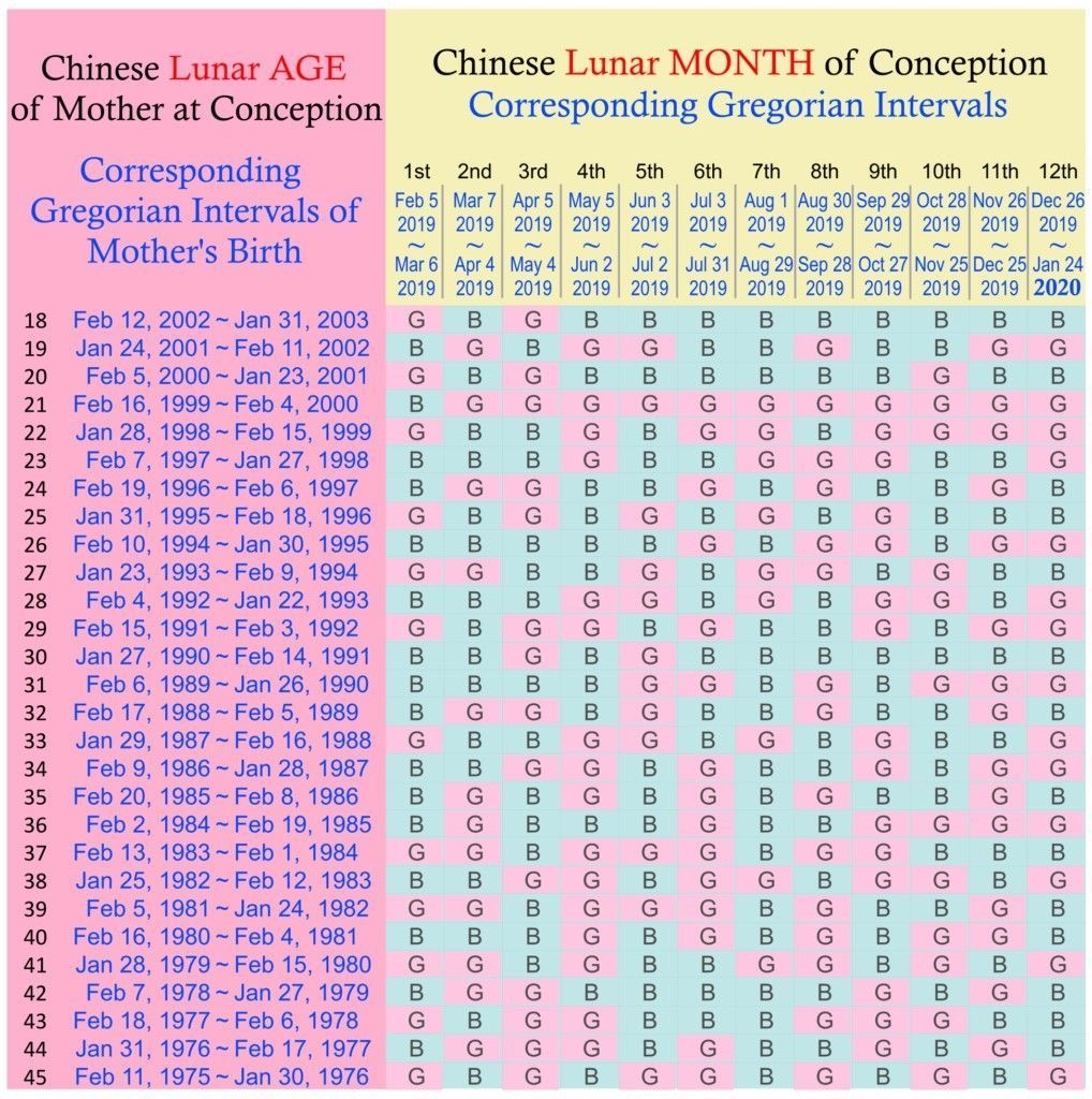 Mayan Calendar 2020 Predictions Template | Chinese Calendar