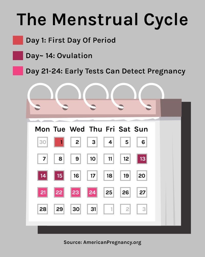 Kroger 2021 Period Calendar / 5 Ways Kroger Is Winning The Grocery Wars