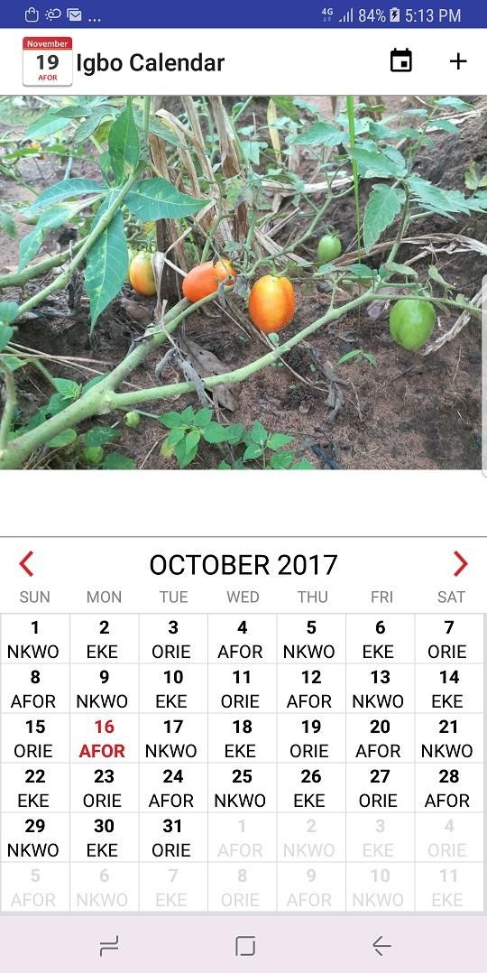 Best Igbo Market Calendar 2021 - Get Your Calendar Printable