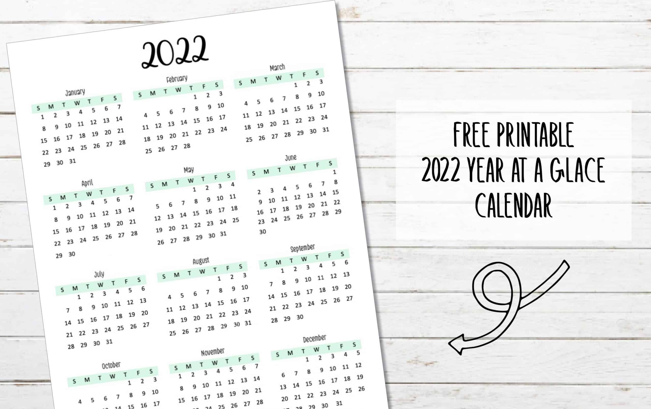 2022 Year At A Glance Calendar - My Printable Home