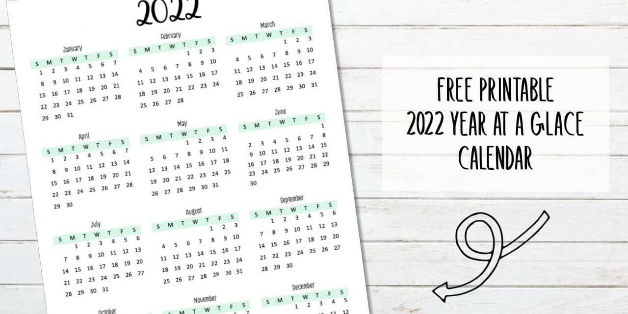 2022 Year At A Glance Calendar - My Printable Home