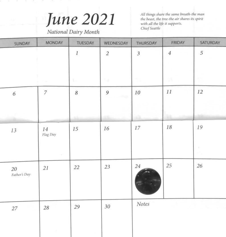 3 Year Calendar Pocket Planner Black Glitter W/ Polka Dot