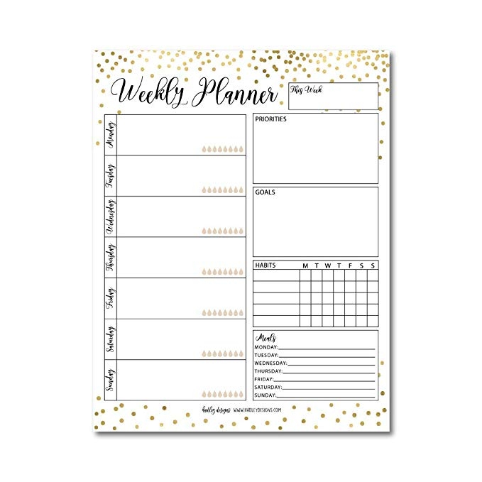 Amazon : Gold Undated Weekly Family Calendar Planner