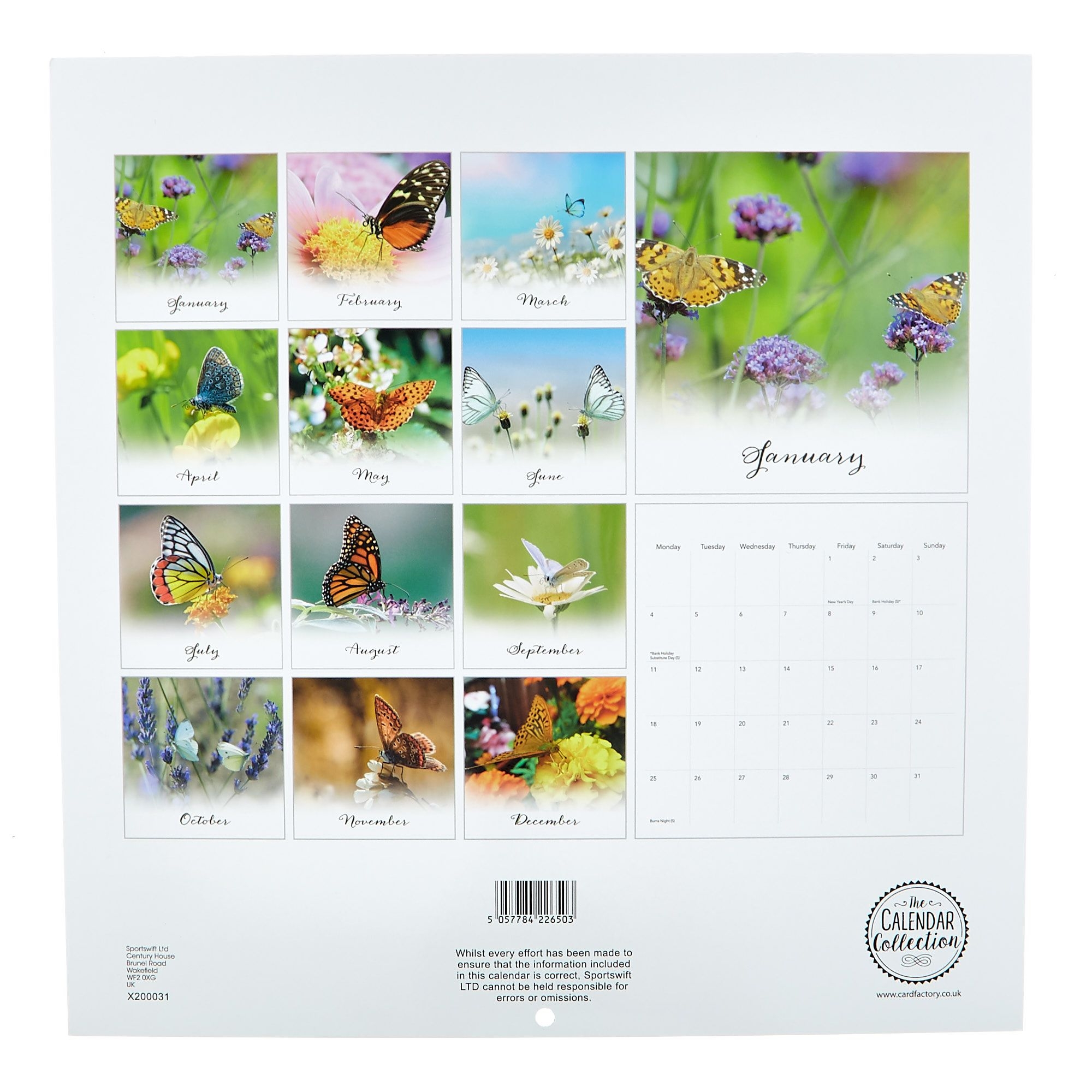 Buy Butterflies 2021 Calendar For Gbp 1.99 | Card Factory Uk