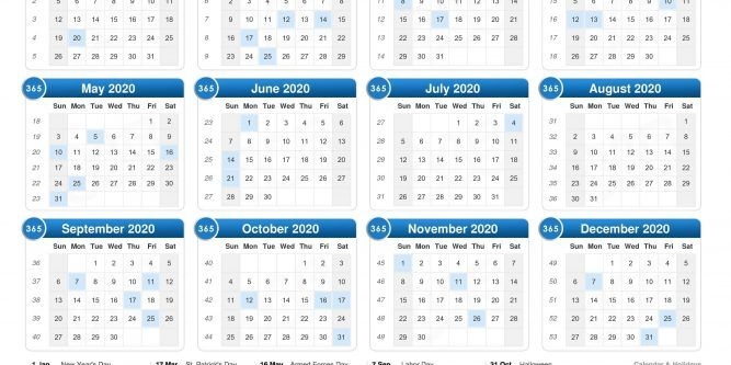 Calendar 2020 2021 2022 2023 | Free Printable Calendar