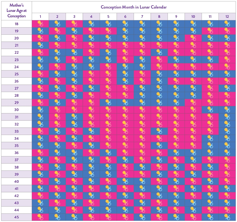 Chinese Calendar Gender Prediction | Sneakpeek®