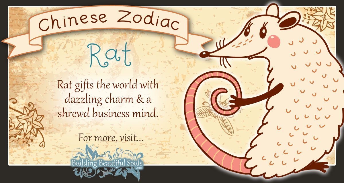 Chinese Zodiac Rat/Mouse Child Personality &amp; Traits