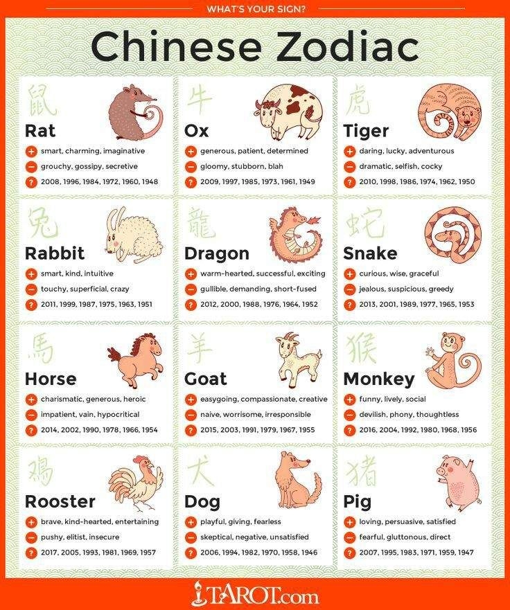 Chinese Zodiac Signs Of Hp Characters Part 3 | Harry