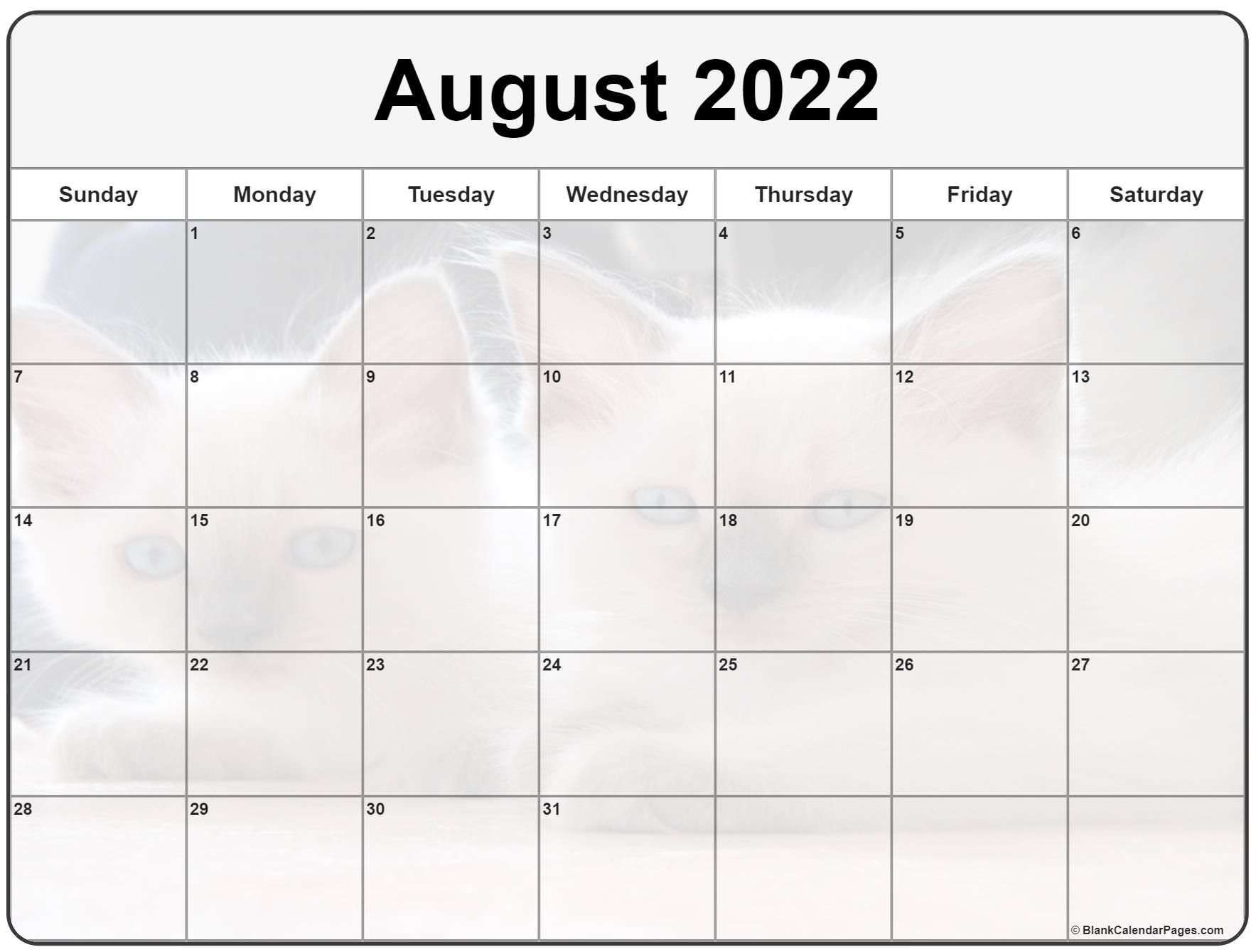 Collection Of August 2022 Photo Calendars With Image Filters.