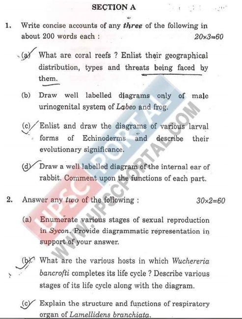 (Download) Upsc Mains 2010 : Zoology Question Paper- I (In