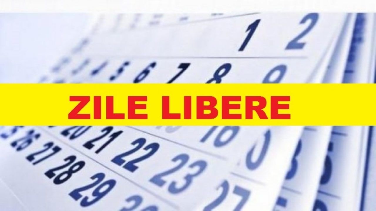 Pick Zile Lucratoare 2020 | Calendar Printables Free Blank