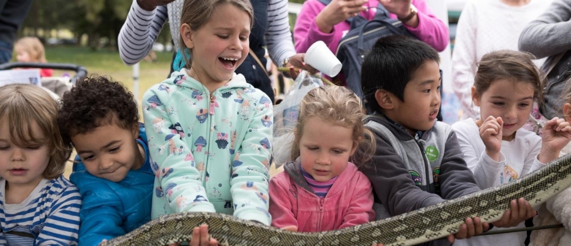 Thrills Galore At The Australian Botanic Garden Mount