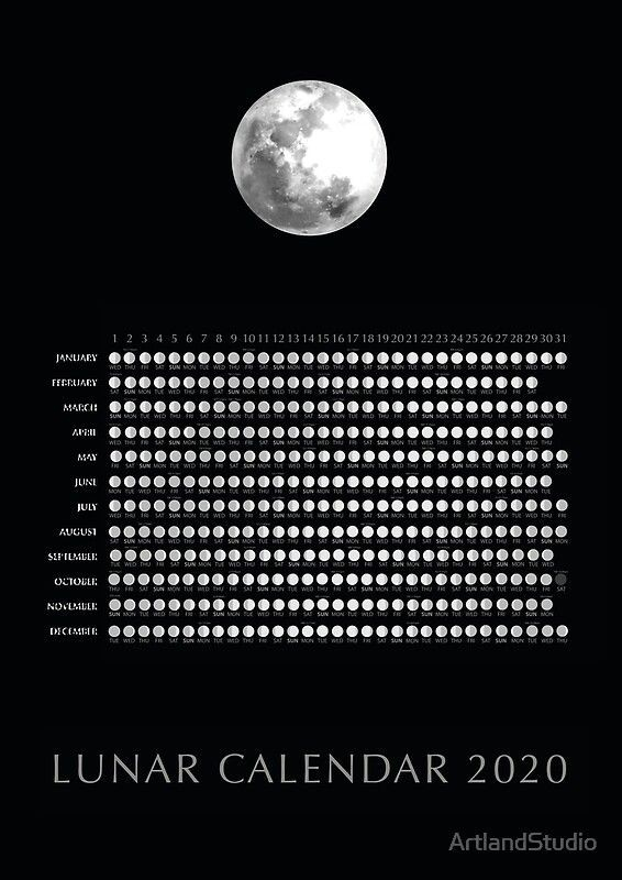 2020 Lunar Calendar | Lunar Calendar, Calendar 2020, 2020