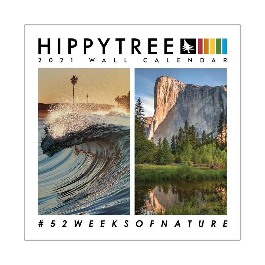 2021 Wall Calendar Assorted / Hippytree