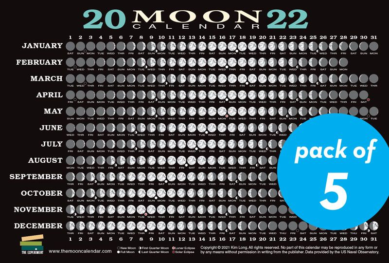 2022 Moon Calendar Card - Pack Of 5 | Workman Publishing