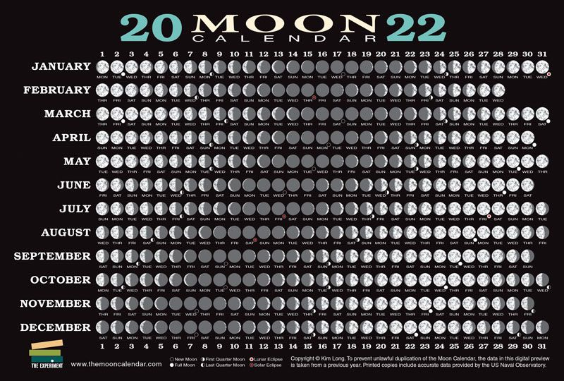 2022 Moon Calendar Card | The Experiment | 9781615197897