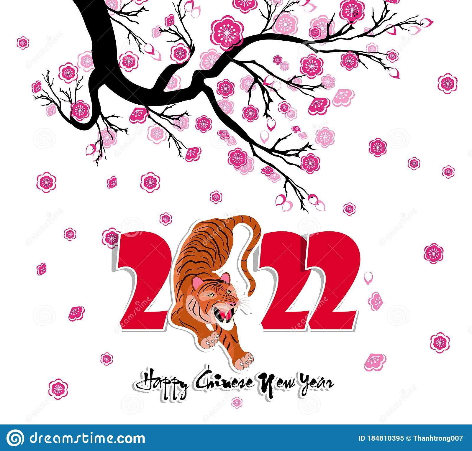 Chinese New Year 2022 - Year Of The Tiger. Lunar New Year