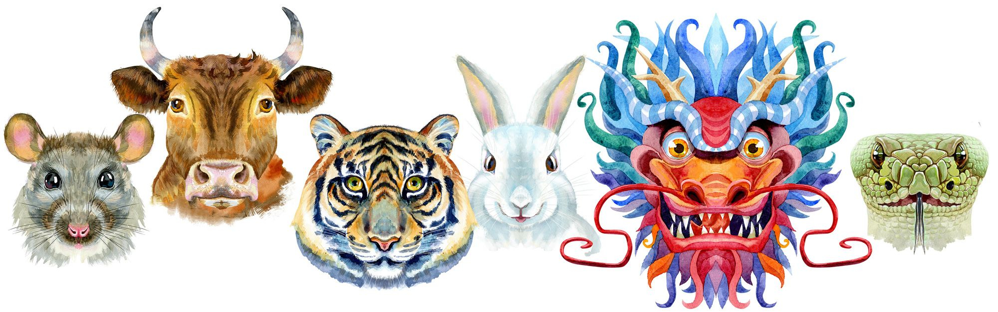 Chinese Zodiac Animal Signs And Chinese New Year Meaning