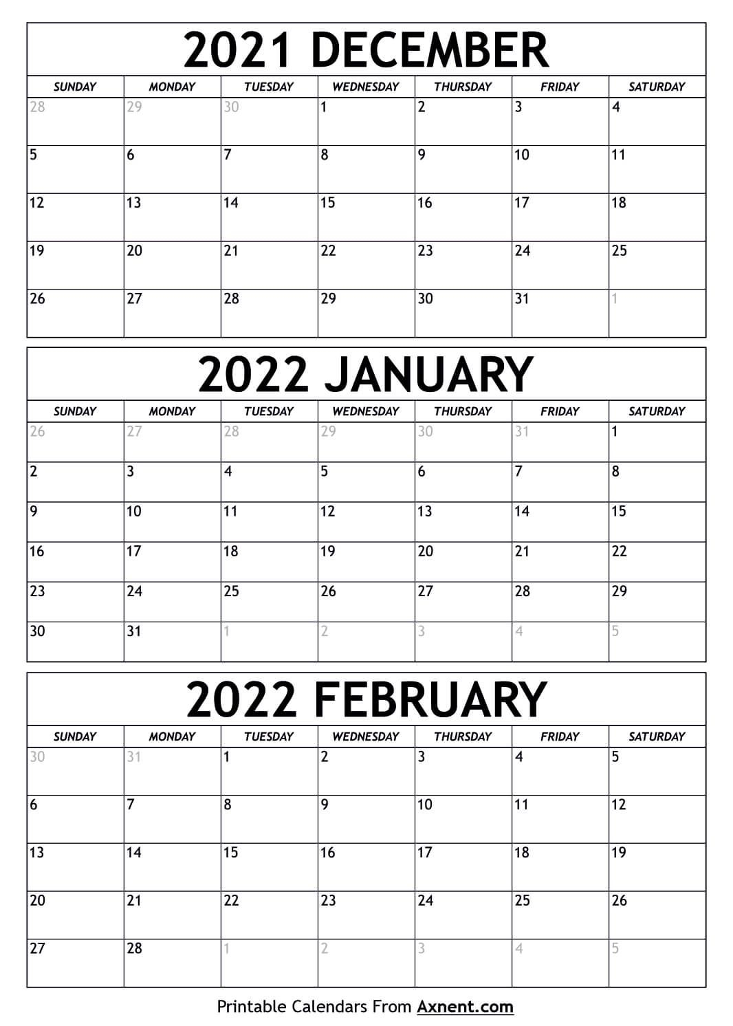 December 2021 To February 2022 Calendar Template - Three