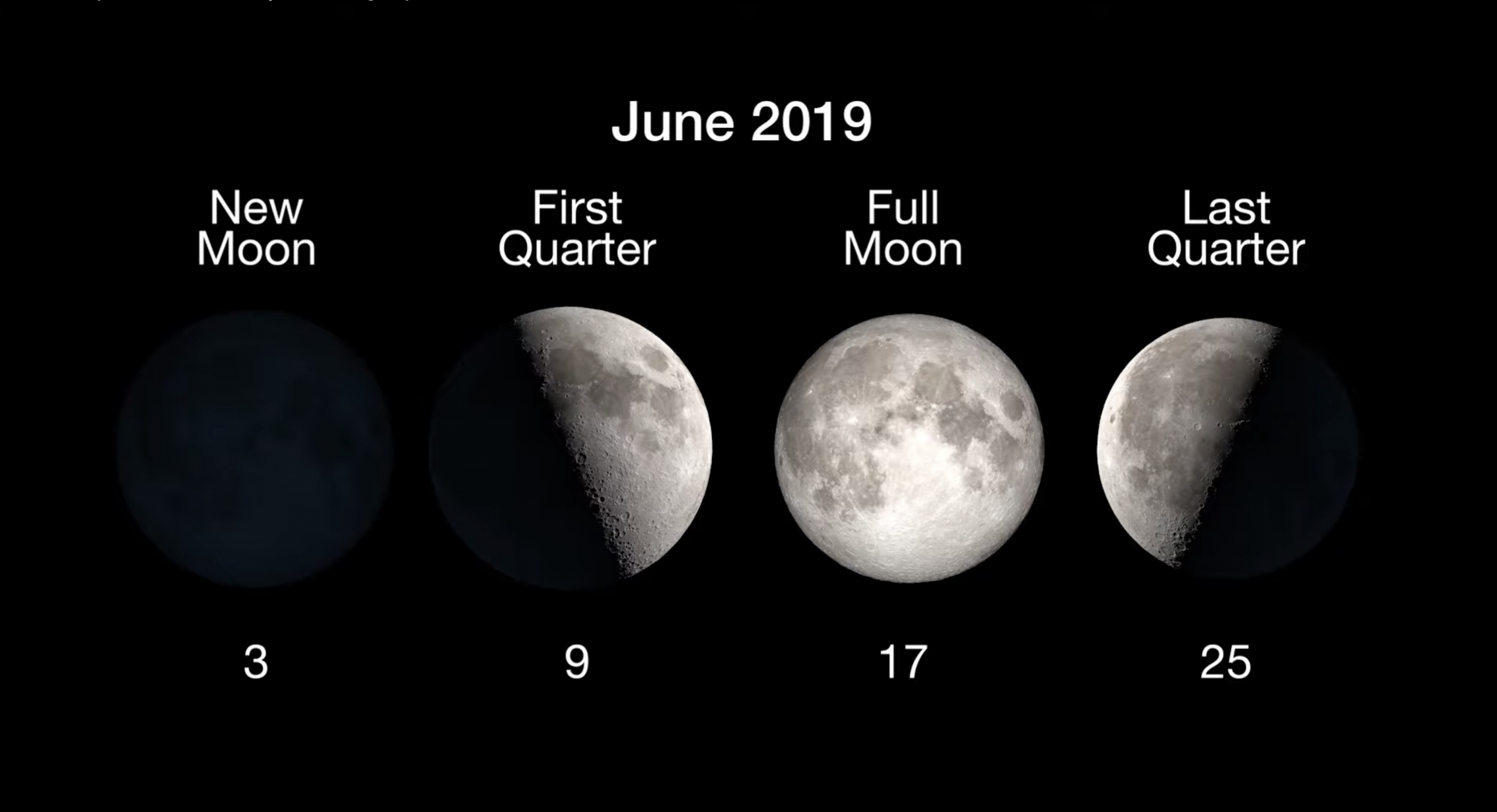 Full Moon Calendar 2019: When To See The Next Full Moon
