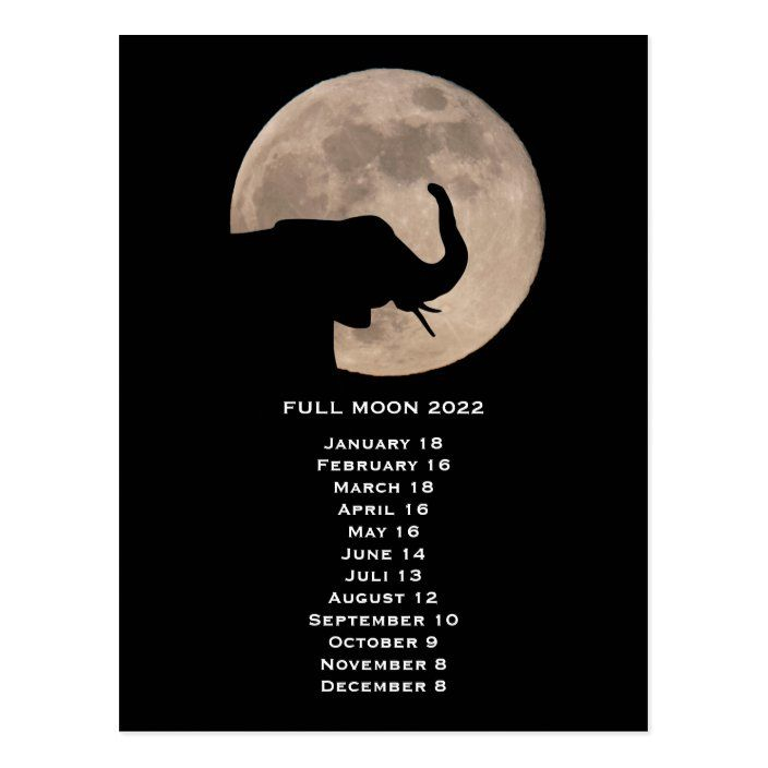 Full Moon Phases Elephant Calendar 2022 Postcard | Zazzle