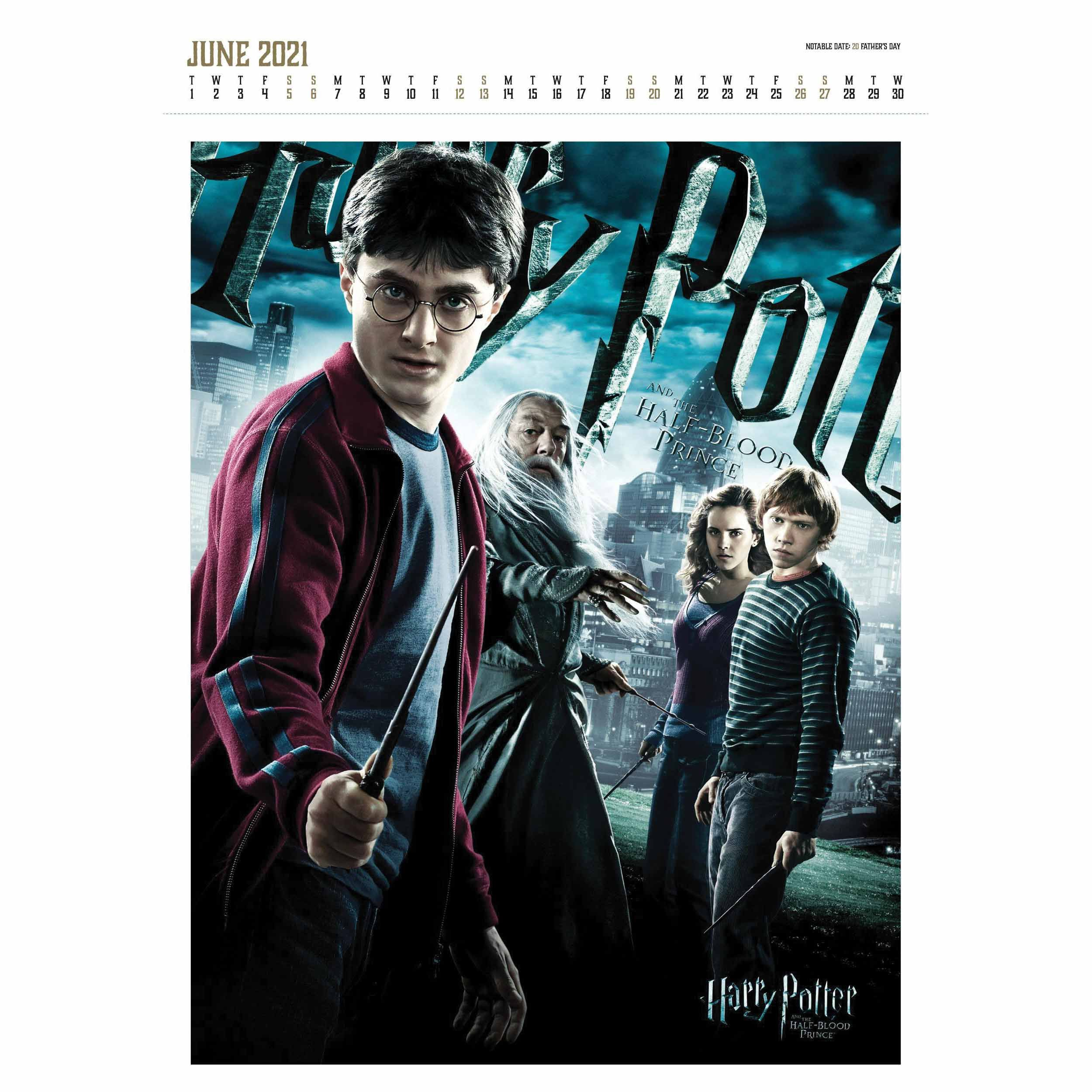 Harry Potter, Collector&#039;S Edition Official A3 Calendar