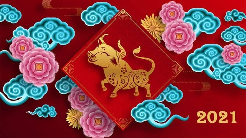 It&#039;S The Year Of The Ox! What&#039;S Your Lunar Zodiac Animal