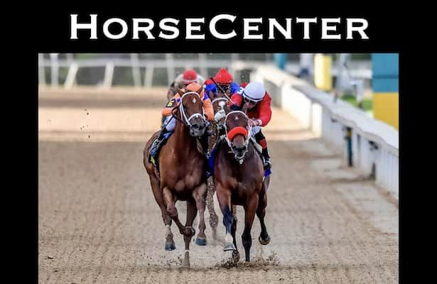 Kentucky Derby 2021 Top Contenders On Horsecenter